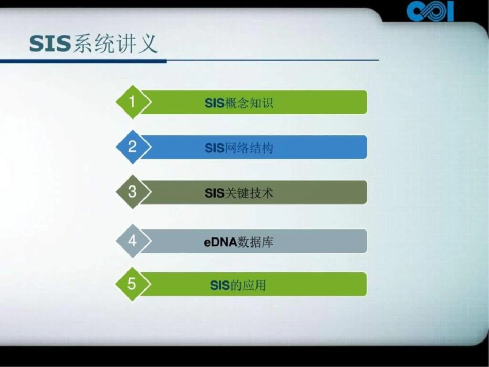 sis系统讲义电力水利工程科技专业资料文档资料_第2页