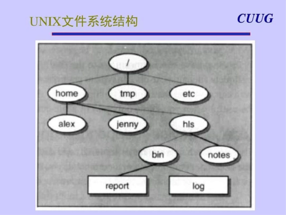 初级班讲义UNIX常用命令图文文档资料_第3页