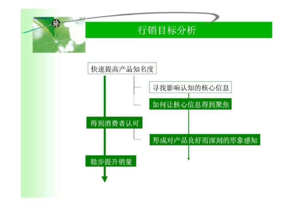 加多宝绿茶春夏推广计划文档资料_第3页