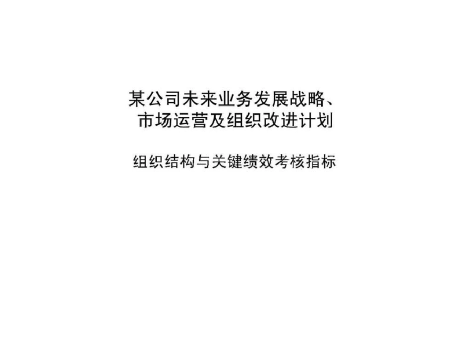 波士顿咨询—某大型集团组织结构于与关键绩效考核指标问题及设计文档资料_第1页