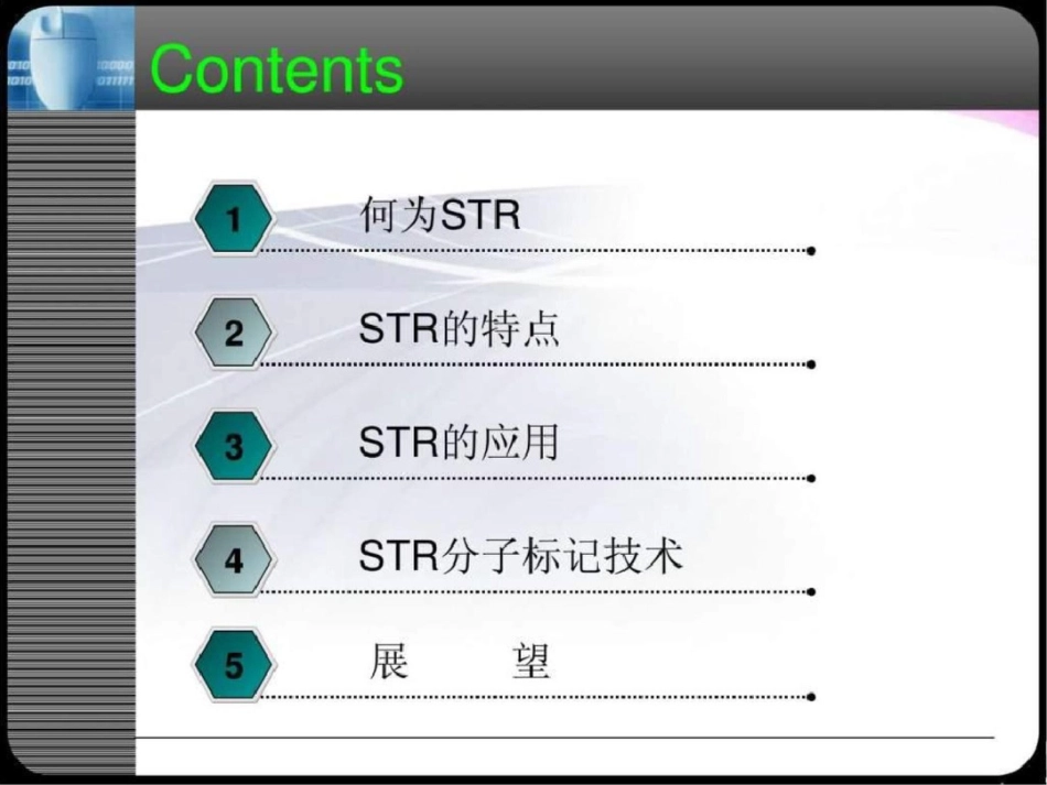 STR微卫星SSR.ppt文档资料_第2页