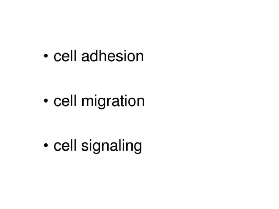 发育生物学翻译作业文档资料_第3页