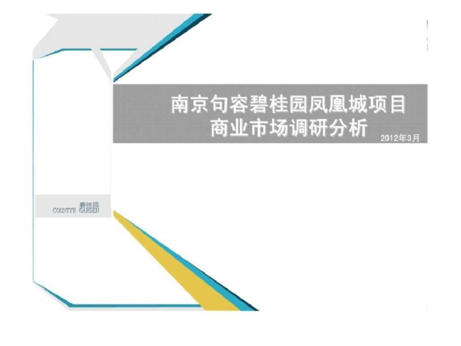 南京句容碧桂园凤凰城项目商业市场调研分析文档资料_第1页