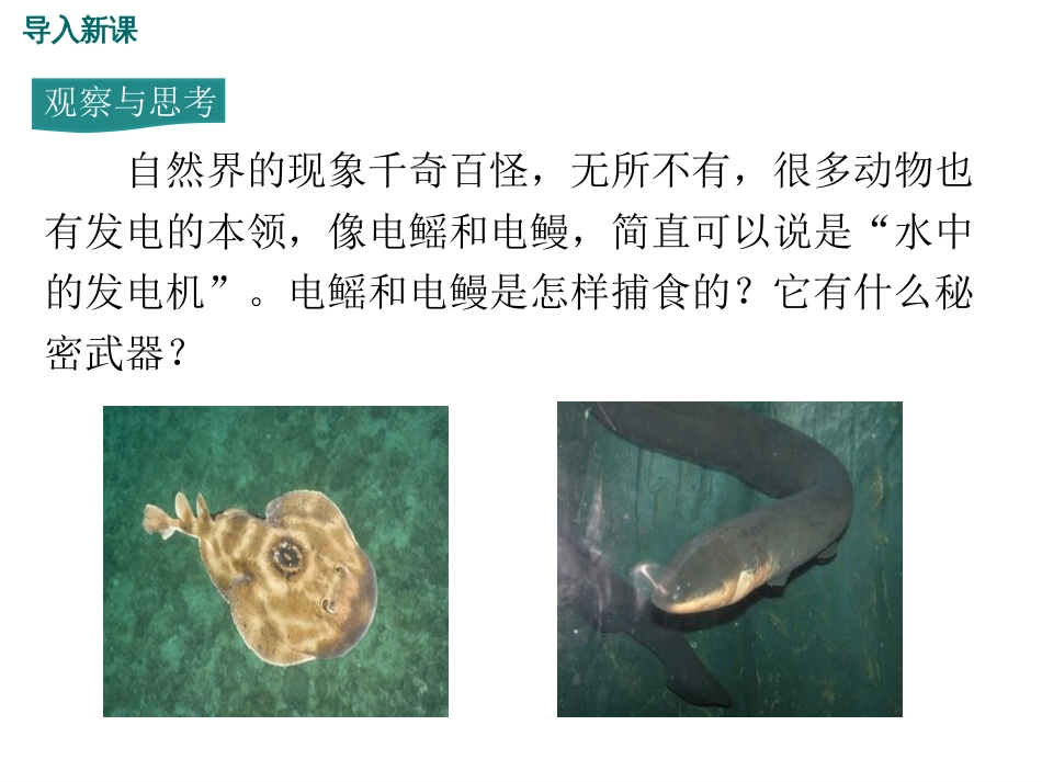探究电流[共35页]_第2页
