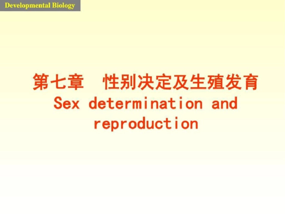 发育生物学课件7sex文档资料_第1页