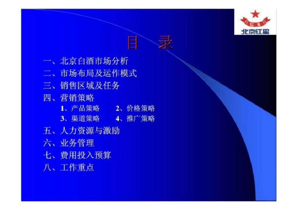 北京红星二锅头蓝瓶北京流通市场规划方案文档资料_第2页