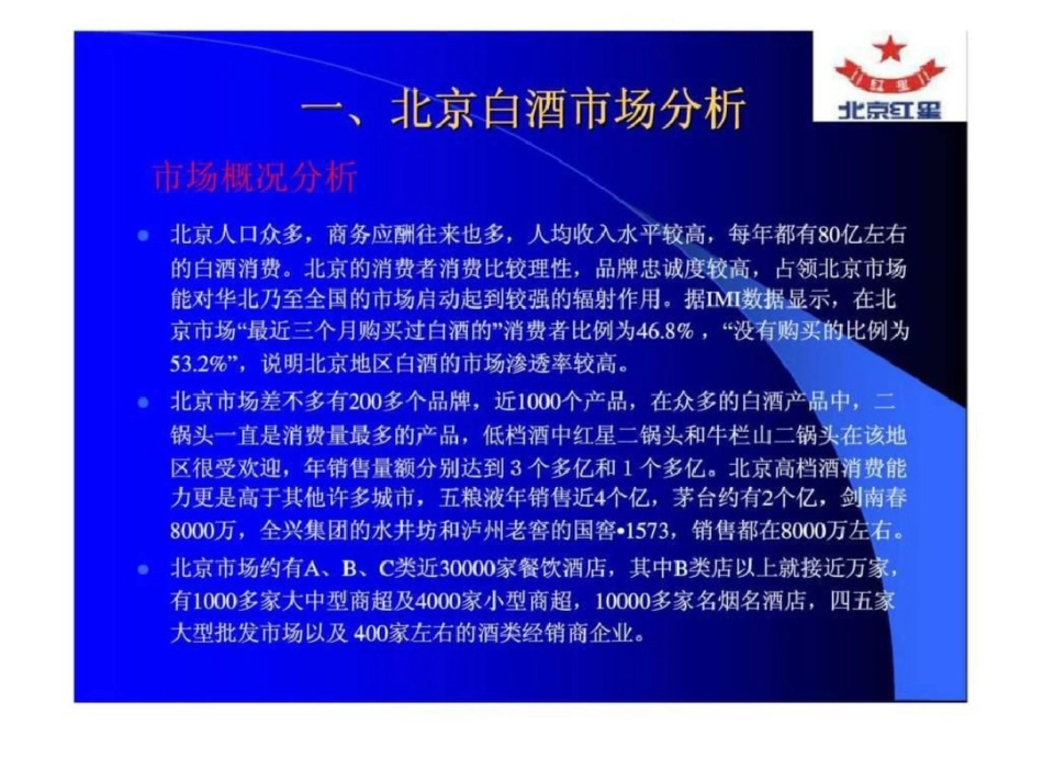 北京红星二锅头蓝瓶北京流通市场规划方案文档资料_第3页