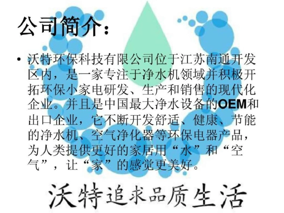 国际市场营销文档资料_第2页