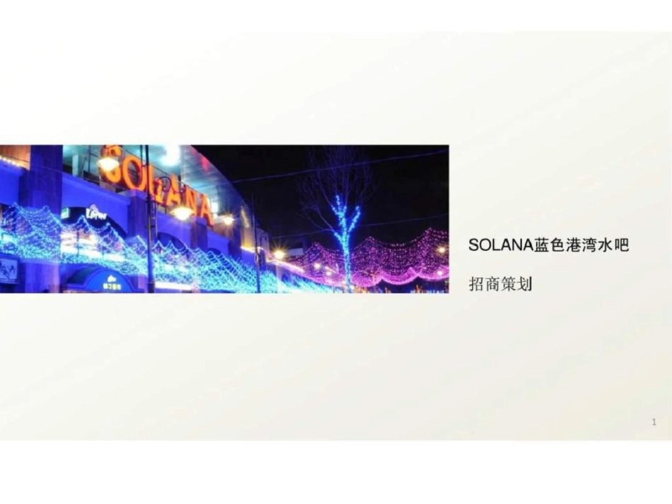 SOLANA蓝色港湾水吧招商策划文档资料_第1页