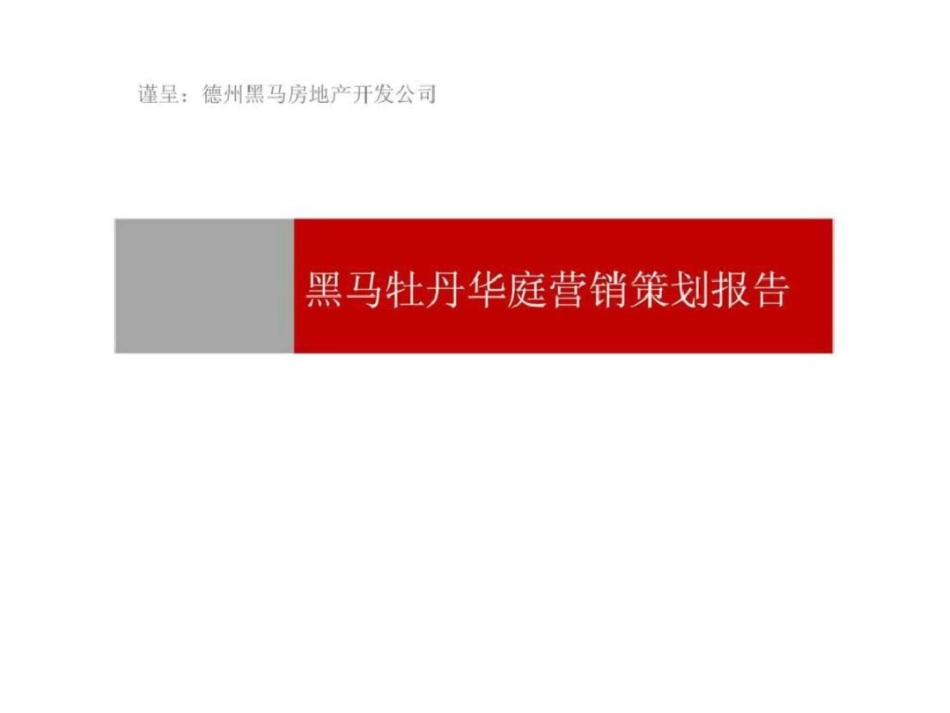 德州市黑马牡丹华庭营销策划报告文档资料_第1页