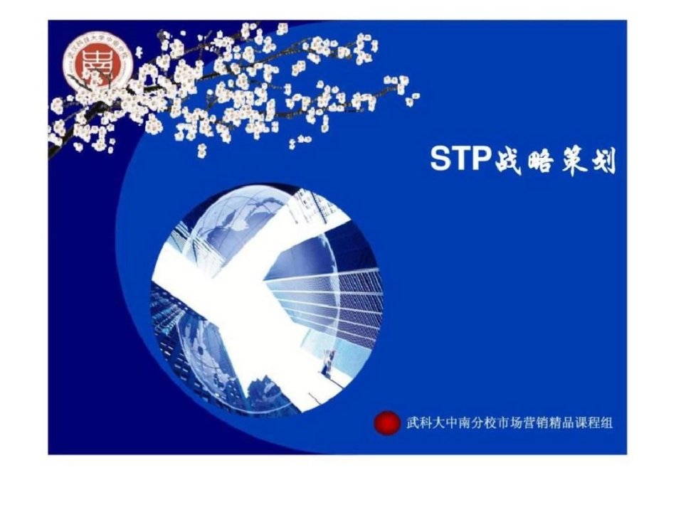 STP战略策划文档资料_第1页