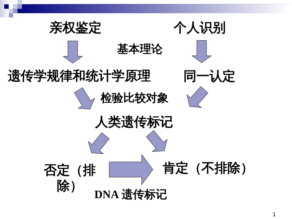 个人识别的证据意义评估[共30页]_第1页