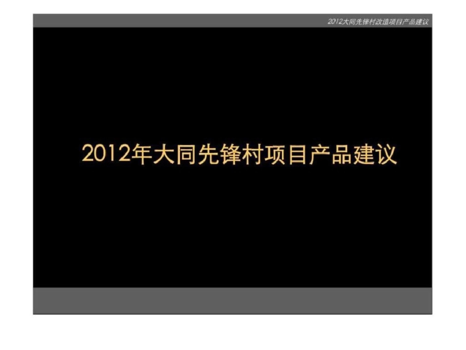 大同先锋村项目产品建议文档资料_第1页