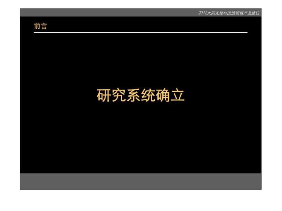 大同先锋村项目产品建议文档资料_第2页