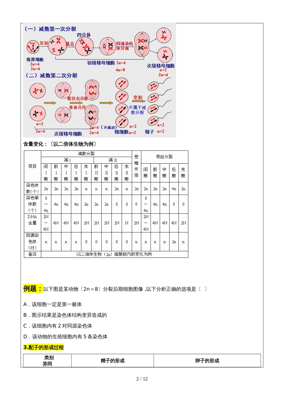 高考生物一轮复习减数分裂辅导讲义学案_第2页