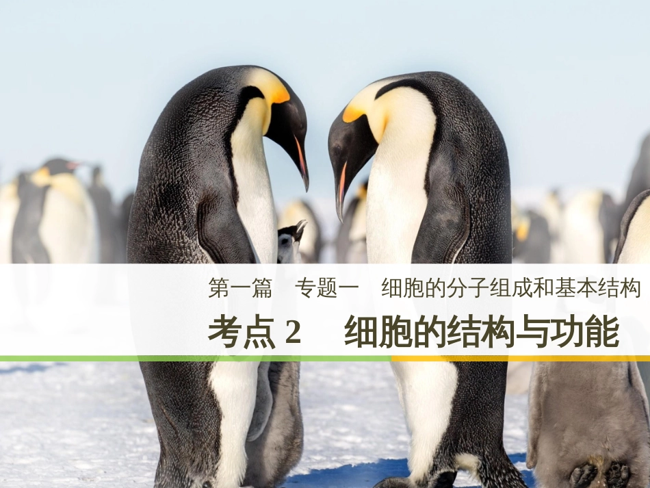 高考地理大二轮复习 第二部分 专题三 回扣基础 微专题1 等高线地形图课件 (2)_第1页