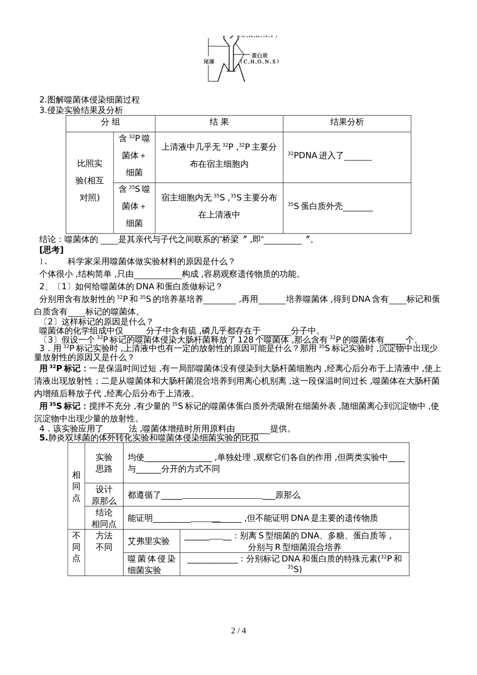 高三生物第一轮复习必修2第三章第1节《DNA是主要的遗传物质》学案含答案_第2页