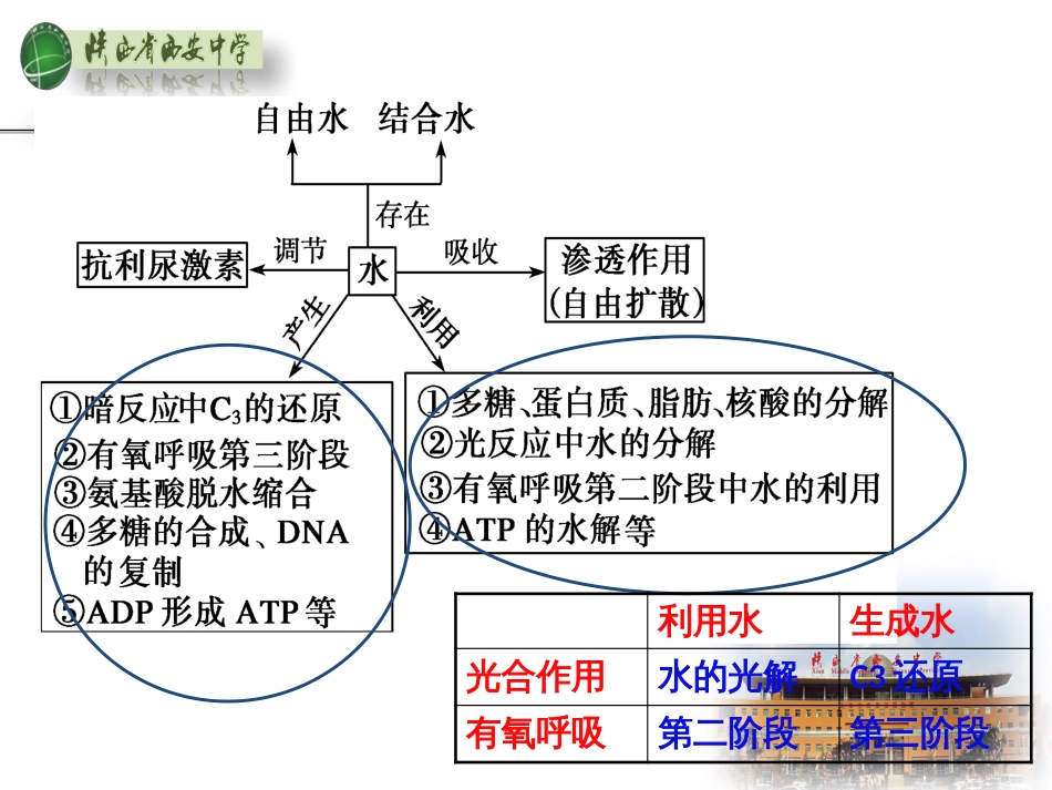 高考研讨会语文资料：本明源清  参悟高考--2014年新课标语文高考复习策划（96张ppt） (9)_第2页