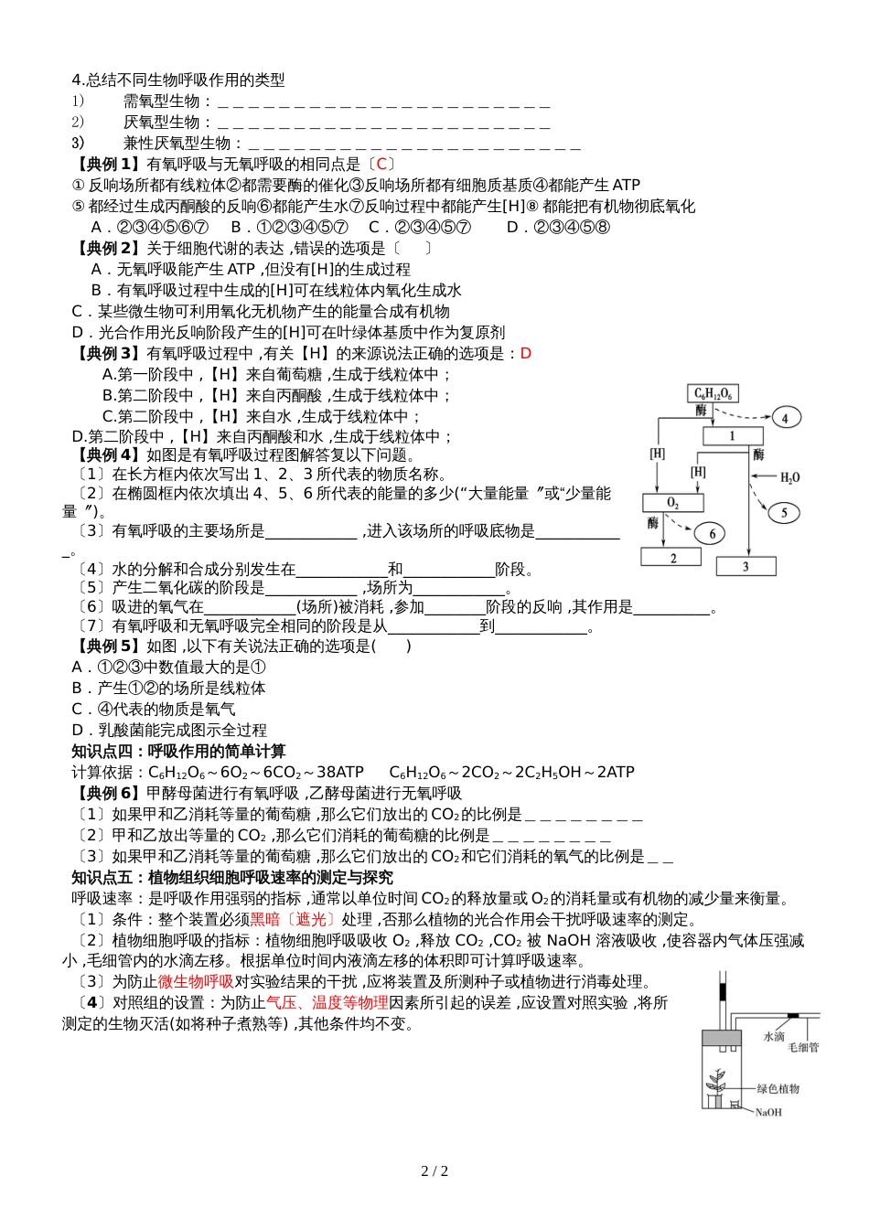 高三生物（必修1）一轮复习   细胞呼吸过程分析_第2页