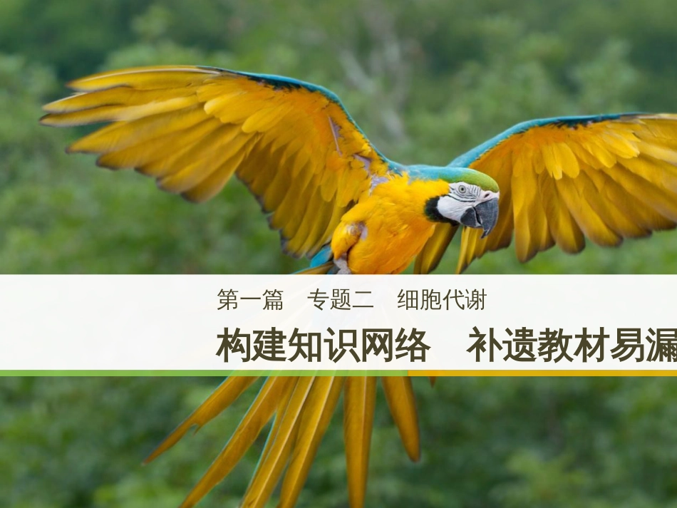 高考地理大二轮复习 第二部分 专题三 回扣基础 微专题1 等高线地形图课件 (9)_第1页
