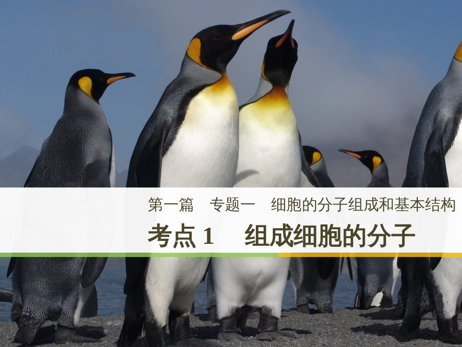 高考地理大二轮复习 第二部分 专题三 回扣基础 微专题1 等高线地形图课件 (3)_第1页