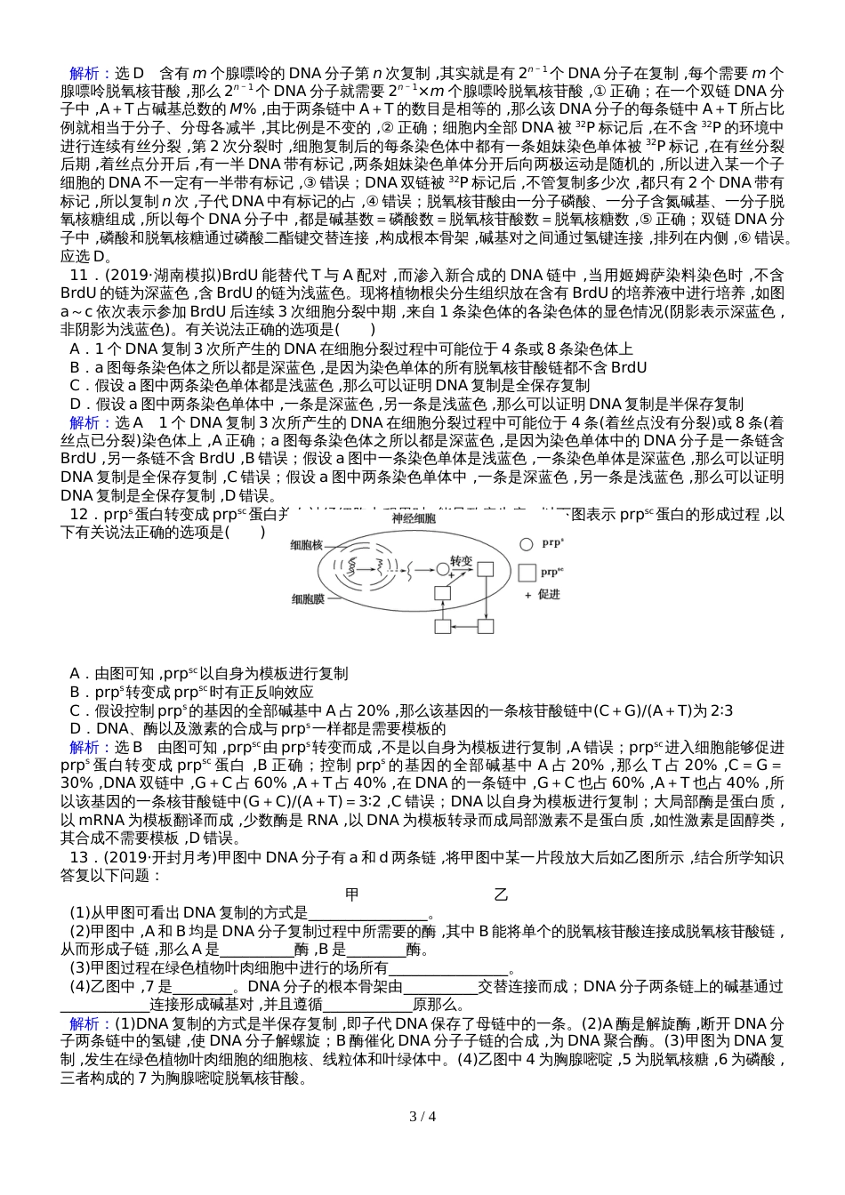 高考生物一轮复习课时作业15 DNA的结构、复制及基因的本质_第3页