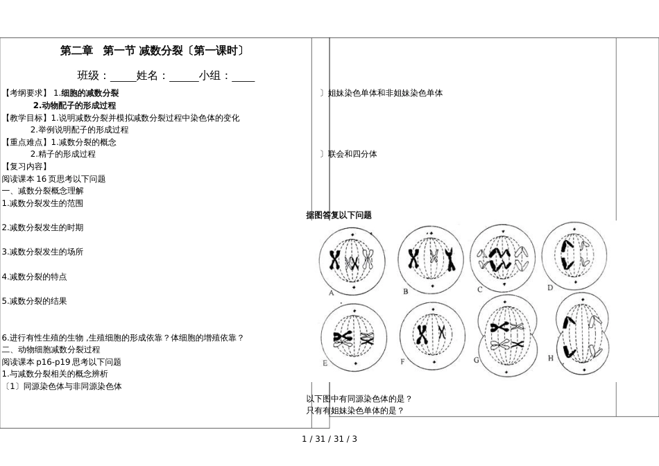 高三生物减数分裂1课件_第1页