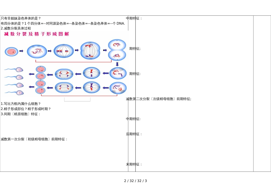 高三生物减数分裂1课件_第2页