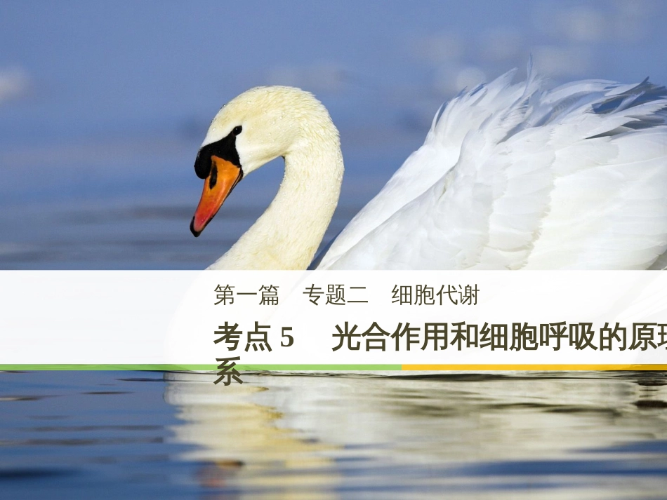 高考地理大二轮复习 第二部分 专题三 回扣基础 微专题1 等高线地形图课件 (7)_第1页