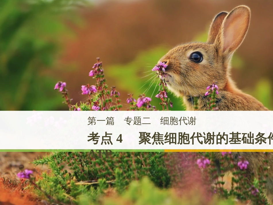 高考地理大二轮复习 第二部分 专题三 回扣基础 微专题1 等高线地形图课件 (8)_第1页