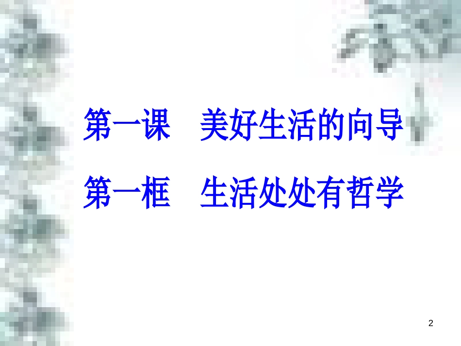 高中政治 第一单元 生活智慧与时代精神 第一课 第一框 生活处处有哲学课件 新人教版必修4 (1)_第2页