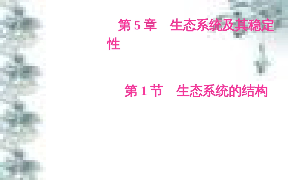 高中政治 第一单元 生活智慧与时代精神 第一课 第一框 生活处处有哲学课件 新人教版必修4 (2)_第2页