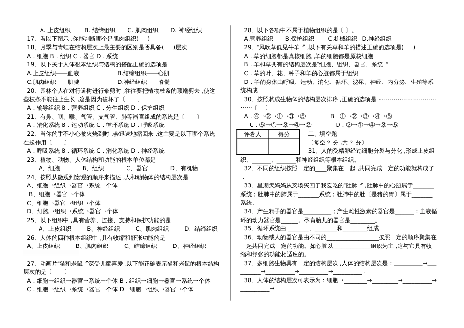 湖北省丹江口市七年级生物上册：动物体的结构层次专题训练（含答案）_第2页