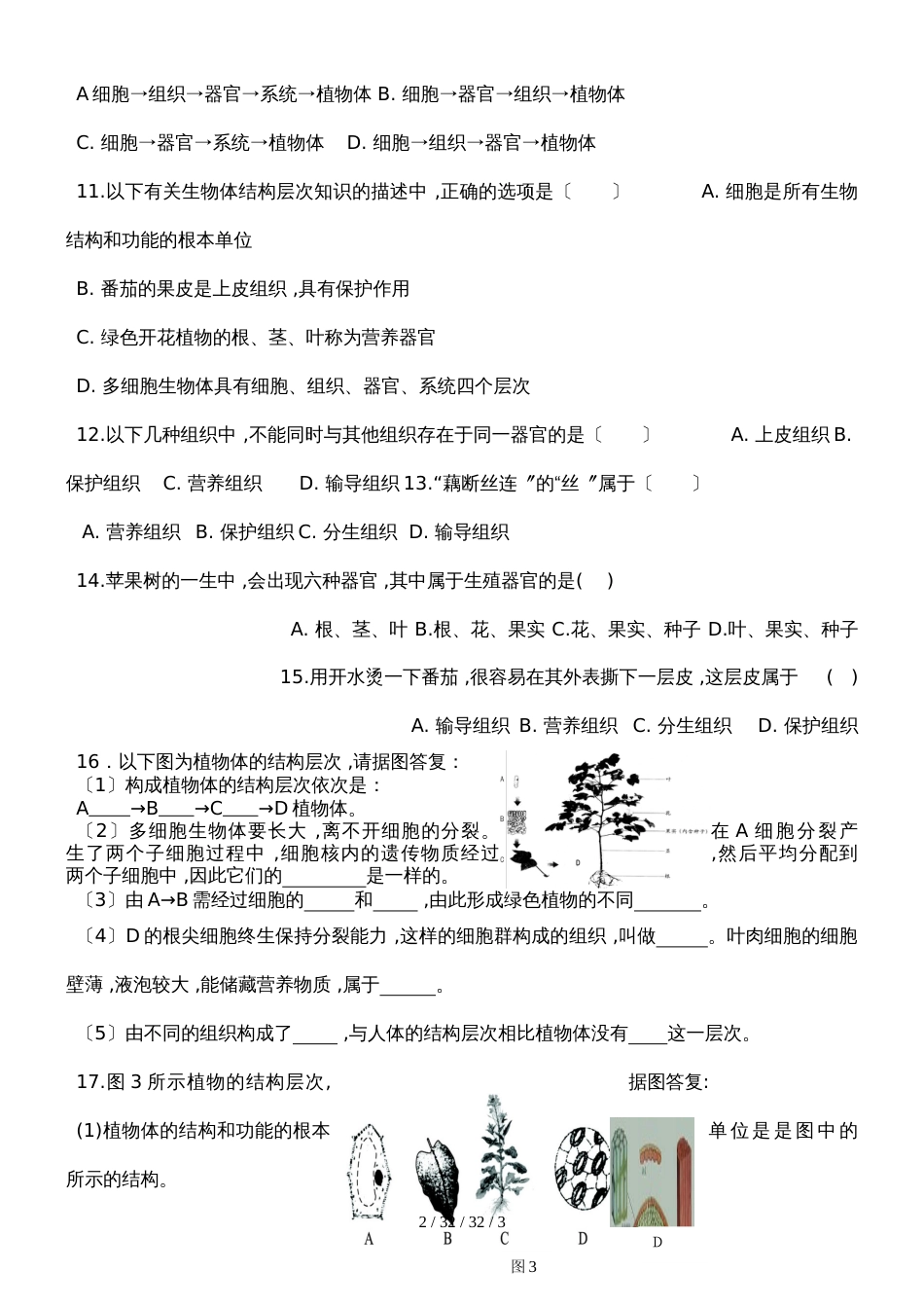 济南版七上第一单元第二章第三节多细胞生物体的结构层次复习课习题_第2页