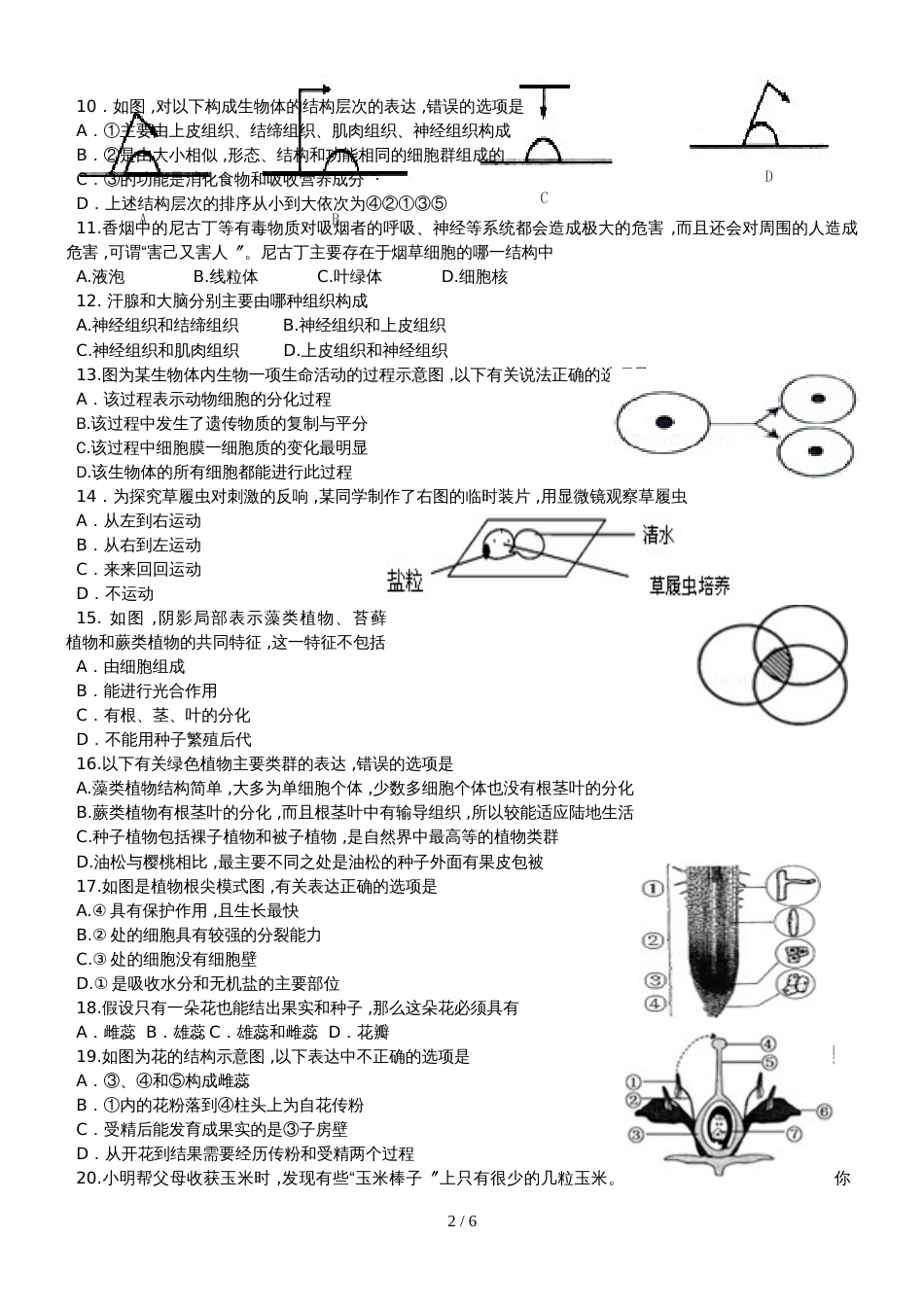 广东东莞市度第一学期教学质量自查七年级生物模拟试卷_第2页