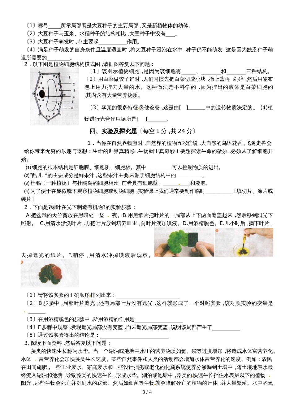广东省广州实验中学－人教版七年级上册生物－期末测试  （含答案）_第3页