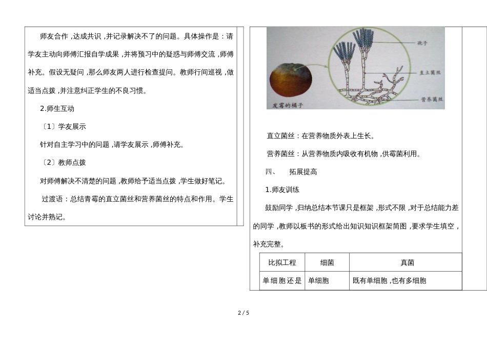 河北省武安市小屯中学第一学期八年级生物通案第四章第三节  真菌导学案（无答案）_第2页
