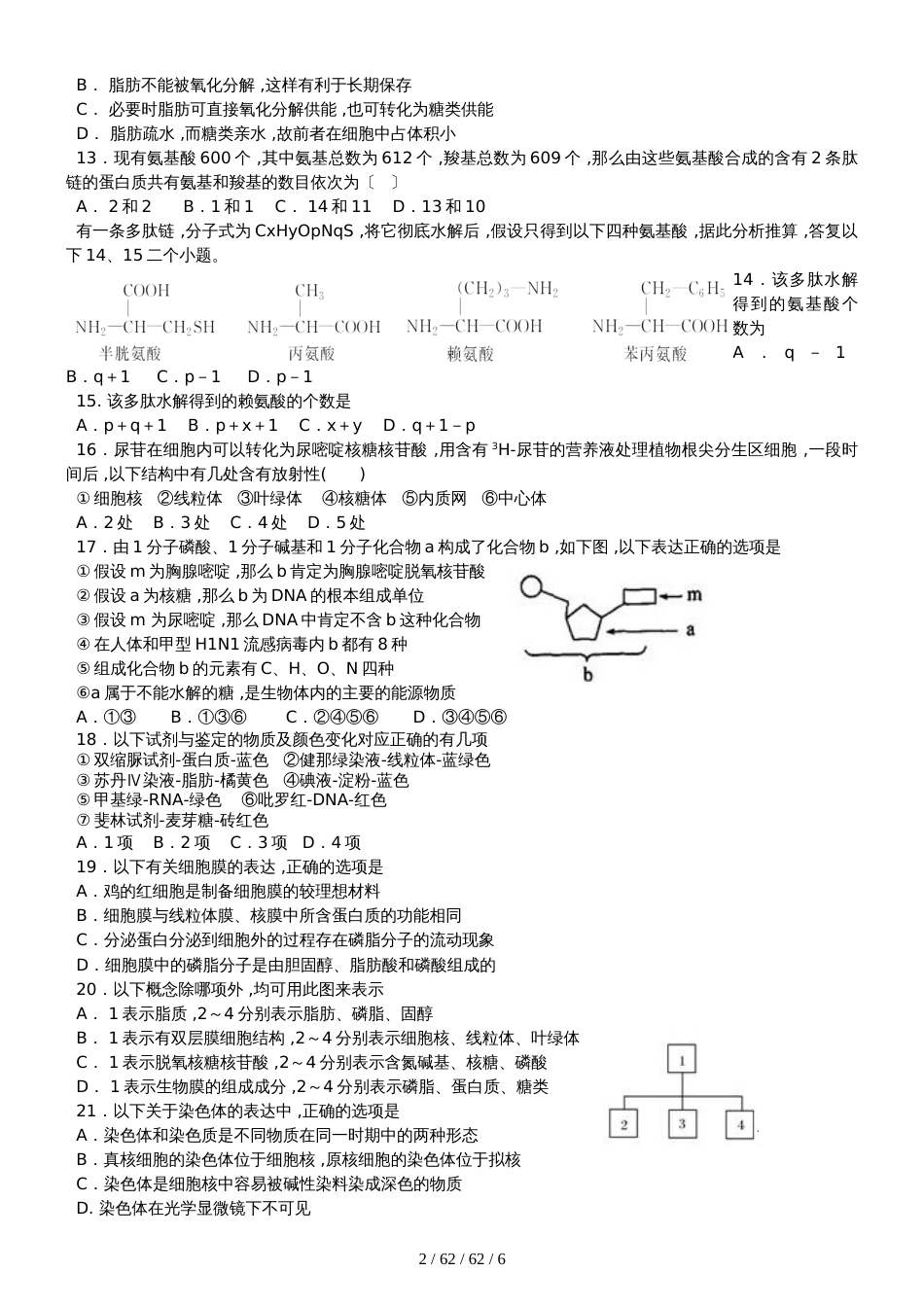 广东省汕头市金山中学20182019学年高一生物上学期期中试题_第2页