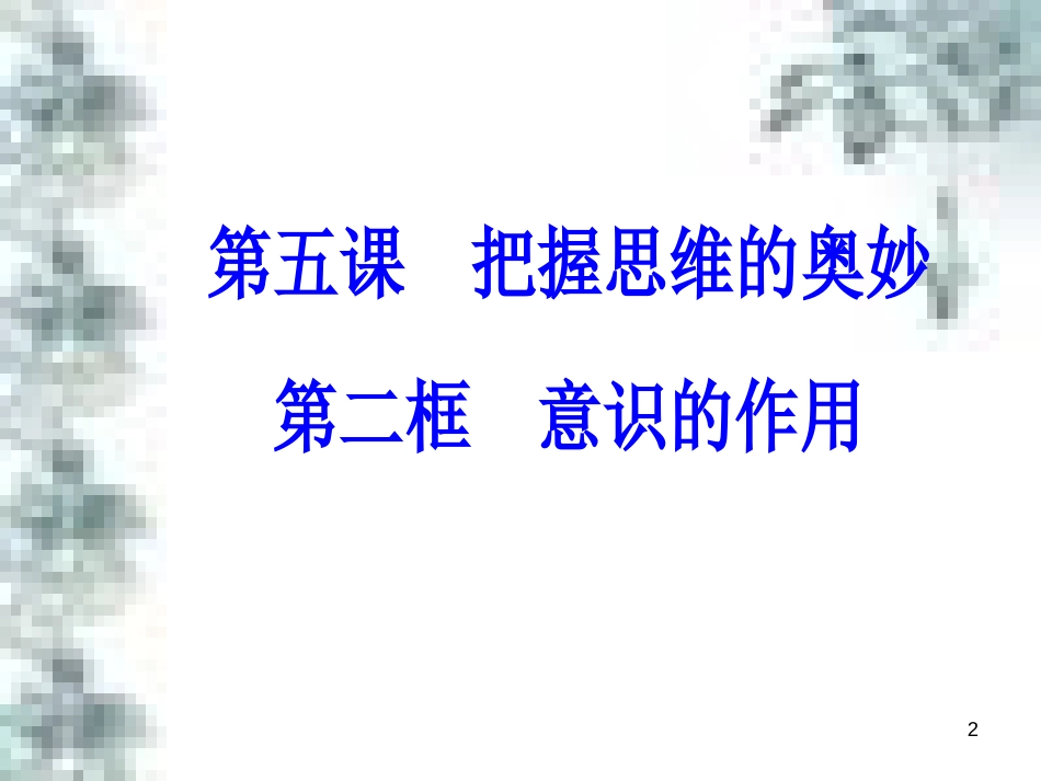 高中政治 第一单元 生活智慧与时代精神 第一课 第一框 生活处处有哲学课件 新人教版必修4 (81)_第2页
