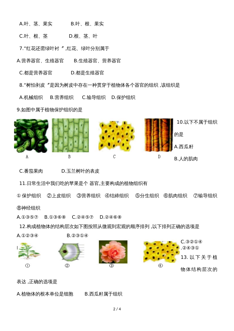 广东省潮州市湘桥区开元中学七年级生物上册2.2.3植物体的结构层次测试卷（含答案）_第2页