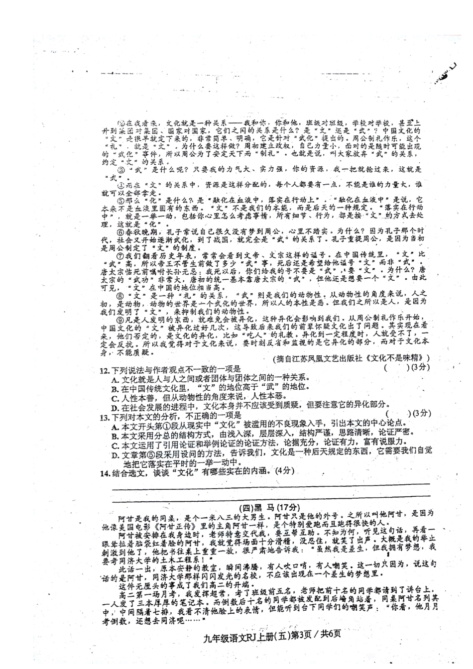 广东省东莞市智升学校九年级语文上册单元测试题（五）（图片版 ）_第3页