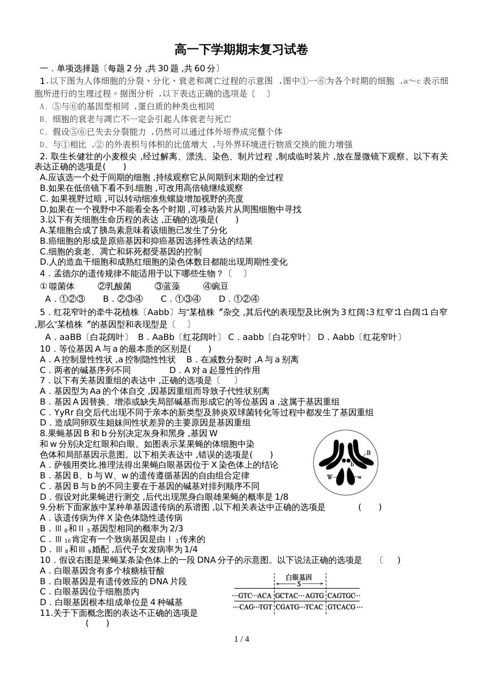 广东省惠州市博罗县榕城中学第二学期高一下学期生物期末复习试卷（无答案）_第1页