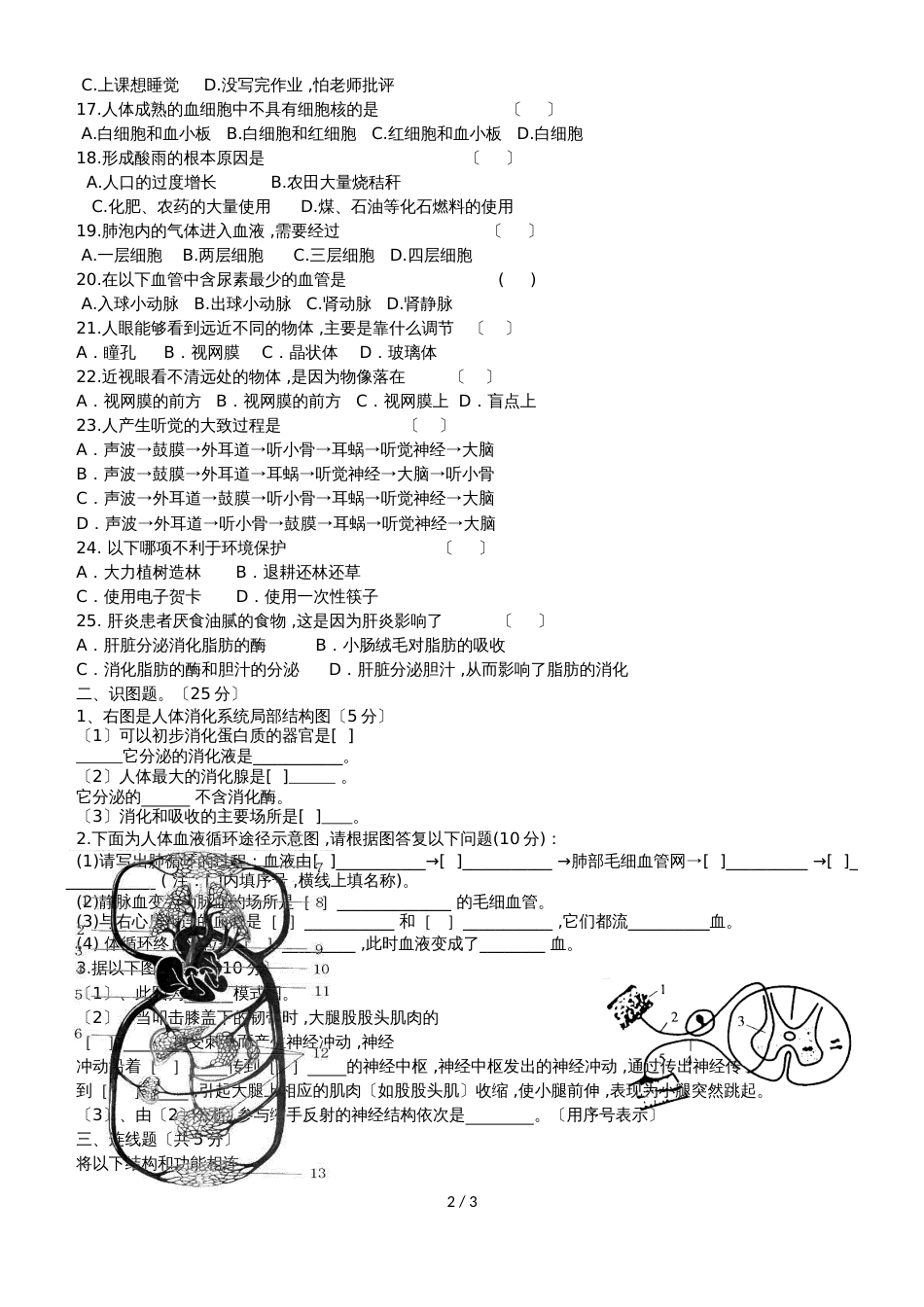 广州外国语学校七年级下册生物（人教版）期末模拟练习试卷（无答案）_第2页