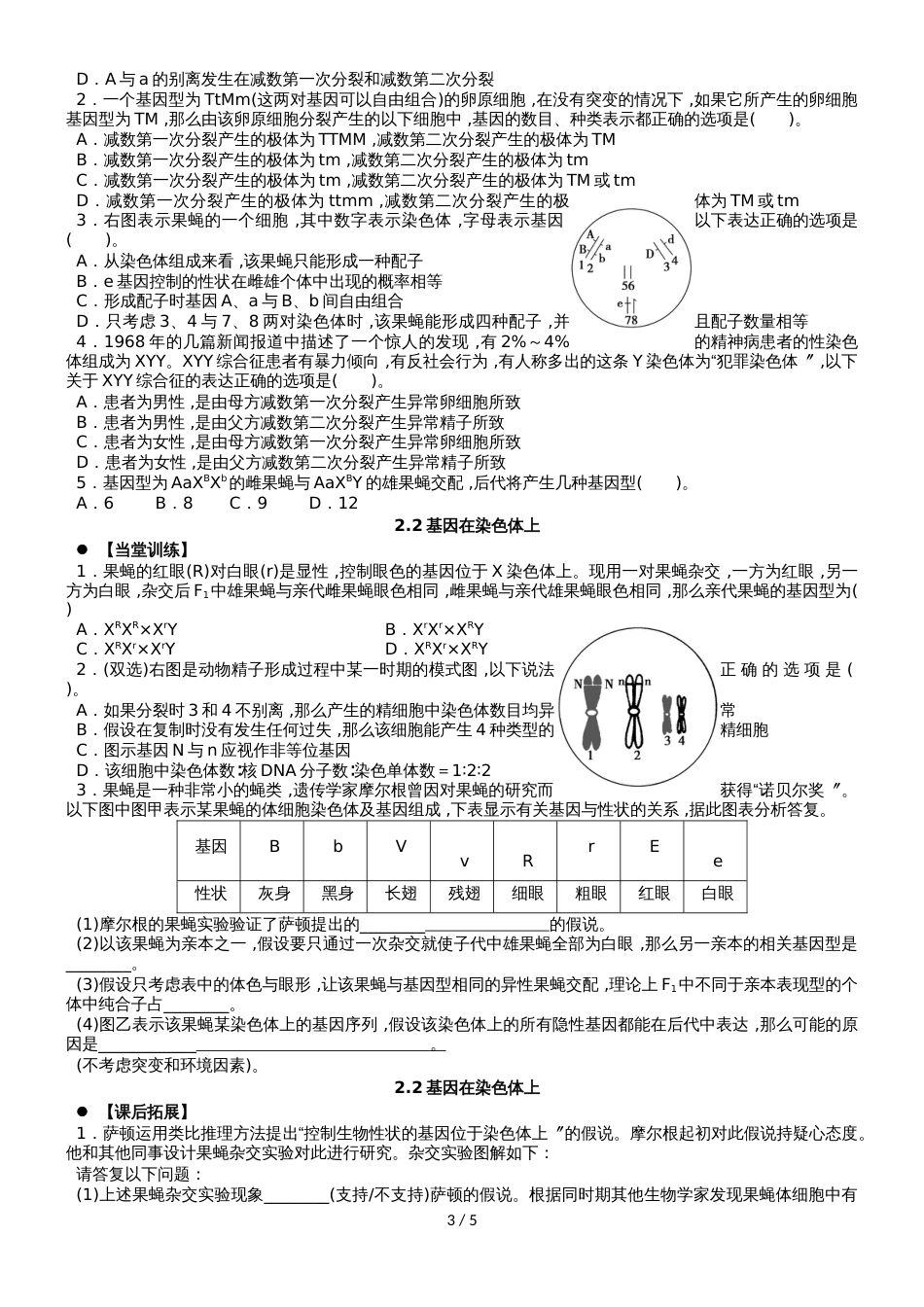 广东省惠州市高考生物总复习2_2基因在染色体上学案_第3页