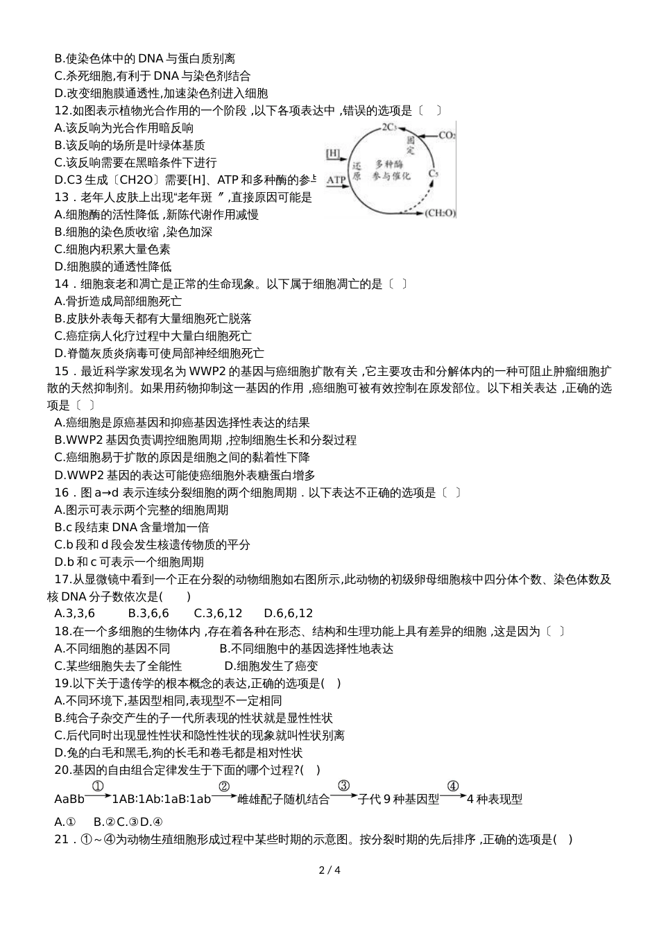 广东省惠州一中实验学校高一下学期期中生物试题（无答案）_第2页