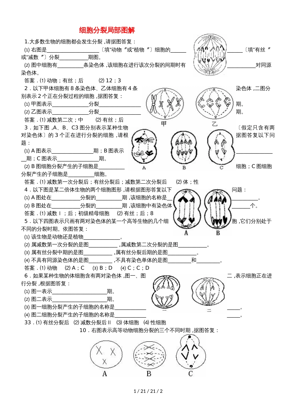 广东省中山市高中生物 第2章 基因和染色体的关系 2.1 细胞分裂部分图解练习新人教版必修2_第1页