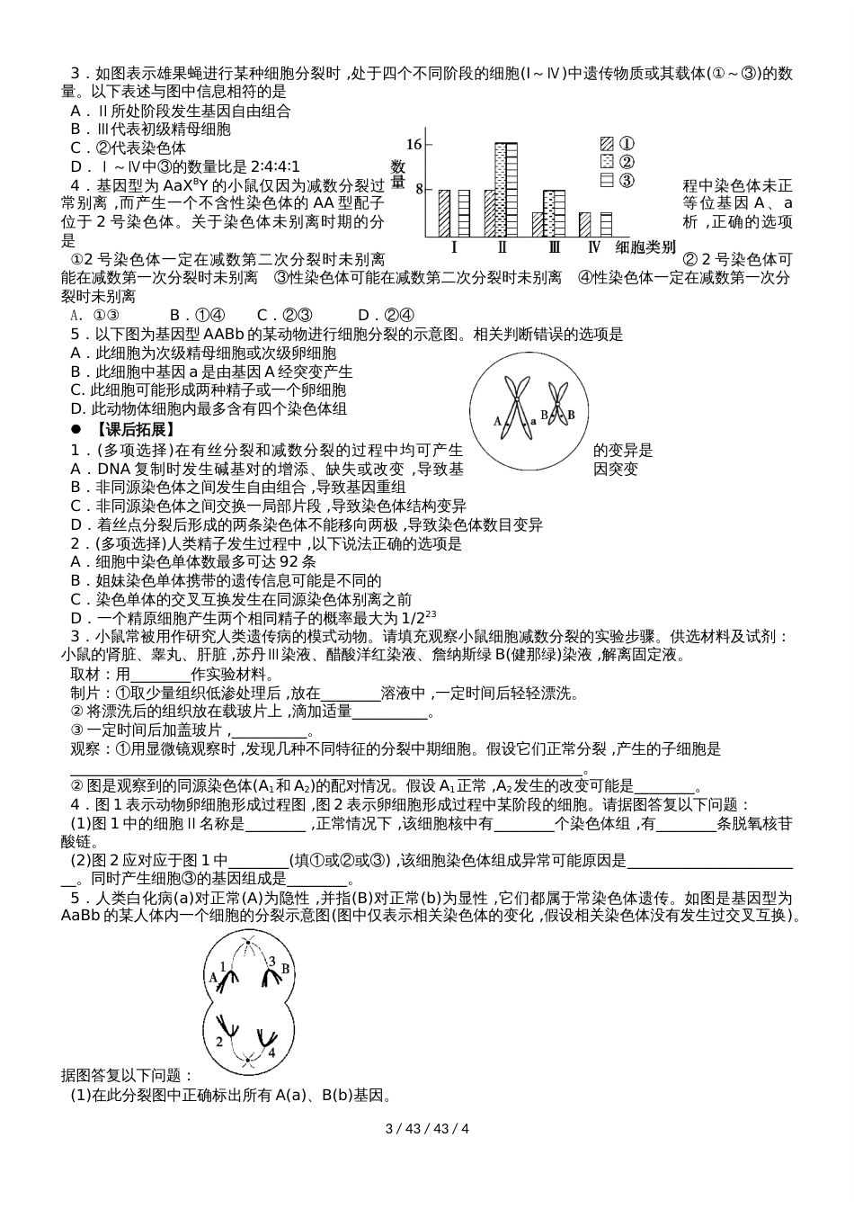 广东省惠州市2019年高考生物总复习2_1（2）减数分裂与受精作用学案_第3页