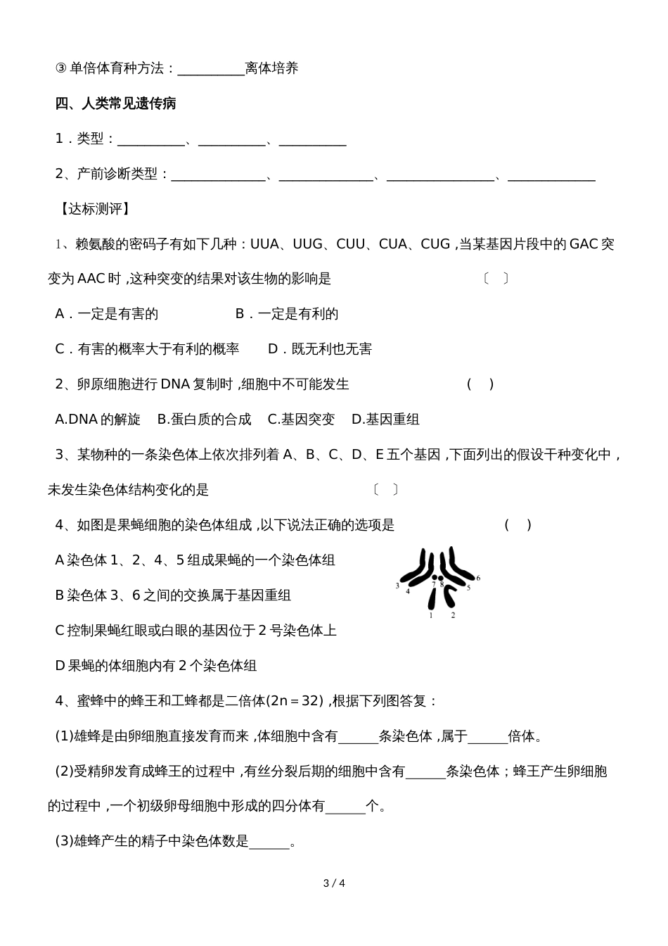 基因突变及其它变异（学案无答案）_第3页