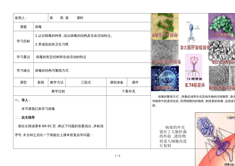 河北省广平县第四中学第一学期八年级生物通案5.5病毒_第1页