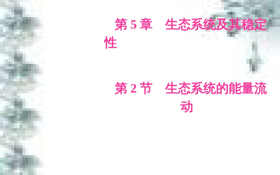 高中政治 第一单元 生活智慧与时代精神 第一课 第一框 生活处处有哲学课件 新人教版必修4 (3)_第2页